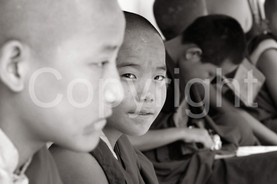 Picture Childs - 0021