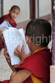 Picture Childs - 0025