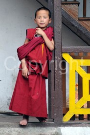 Picture Childs - 0022