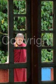 Picture Childs - 0035