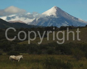 Landscapes - 0021