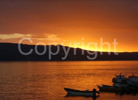 Landscapes - 0008