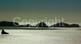 Landscapes - 0009