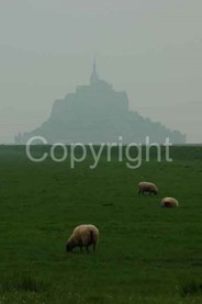 Landscapes - 0011