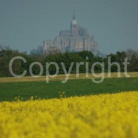 Landscapes - 0012