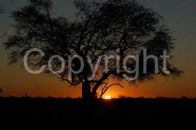 Landscapes - 0004