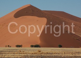 Landscapes - 0005