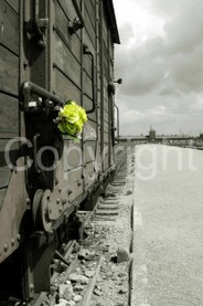 Streets Photo  - 0013