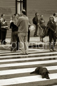 Streets Photo  - 0023