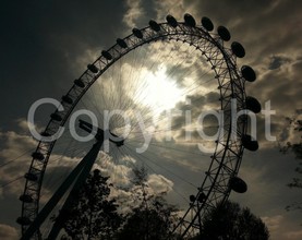 Streets Photo  - 0009